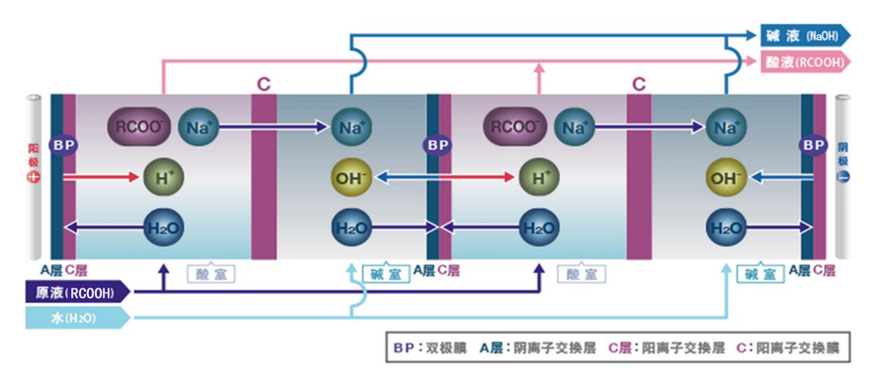有機(jī)酸原理.jpg